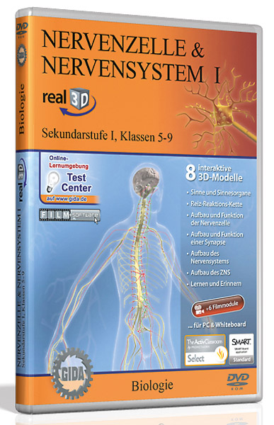 DVD: Nervenzelle & Nervensystem I - Software real3D