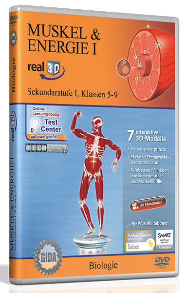 DVD: Muskel & Energie I - Software real3D