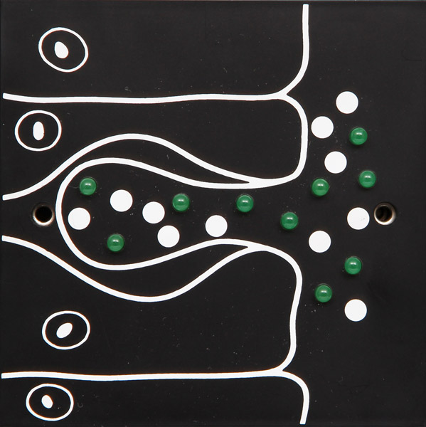 Drüsen-Modul zu BIOMODUL-System