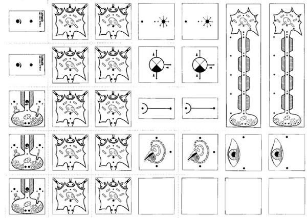 Symbolkärtchen zu BIOMODUL-System