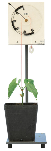 Auxanometer zur Messung des Pflanzenwachstums