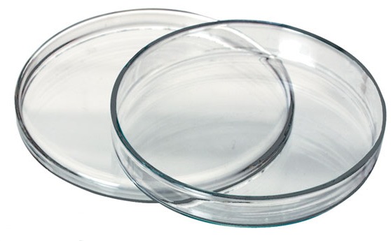 Petrischale, Glas, 60 x 15 mm