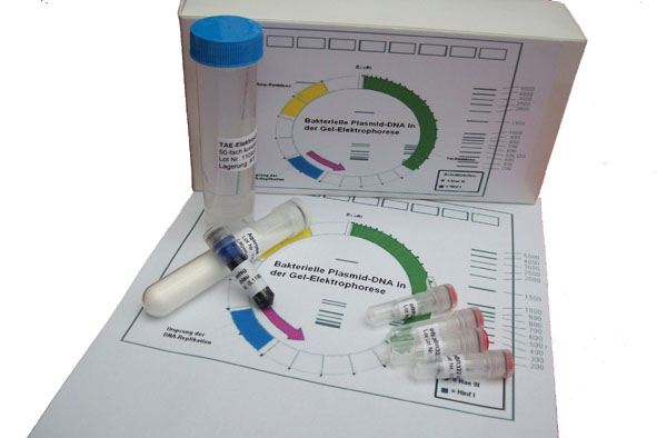 DNA-Kit Bakterielle Plasmid-DNA
