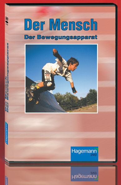 DVD: Der Mensch: Bewegungsapparat