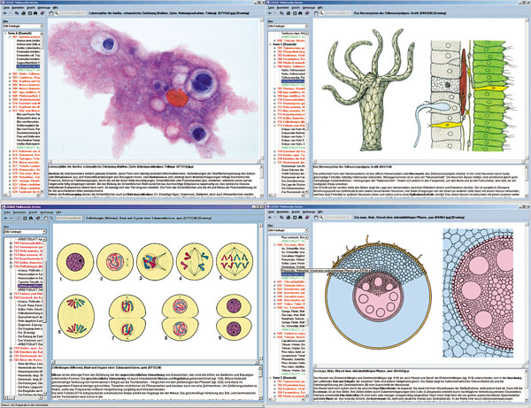 CD: Mikroskopische Biologie, Schulserie A