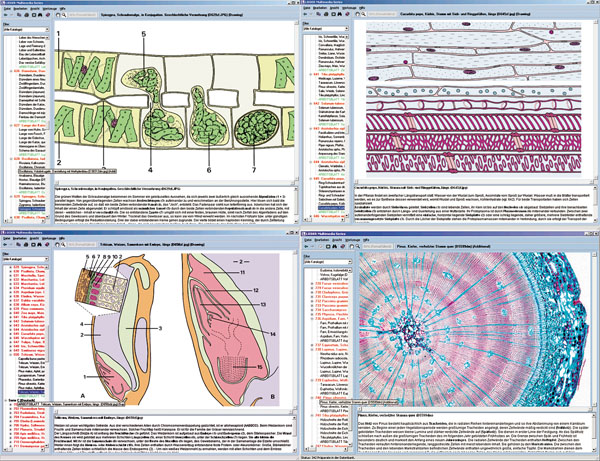 CD: Mikroskopische Biologie, Schulserie B