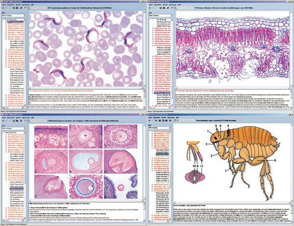 CD: Mikroskopische Biologie, Schulserie C
