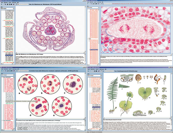 CD: Mikroskopische Biologie, A, B, C, D