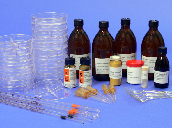 Grundlagenexperimente, großer Enzym-Kit