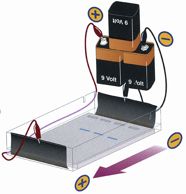 Elektrophorese von Farbstoffen, Kit