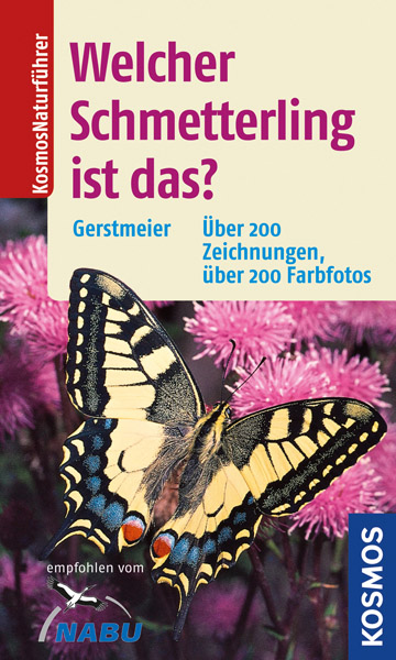 LIT-print: Welcher Schmetterling ist das?