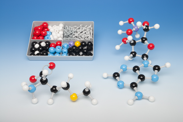 Molekülbaukasten für Schüler zur Biochemie