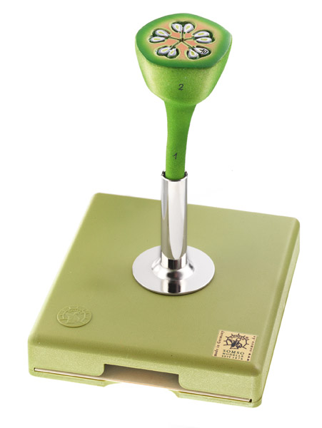 MOD: Apfelblüte - Fruchtknoten im Querschnitt