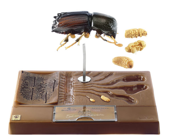 MOD: Borkenkäfer - Entwicklung