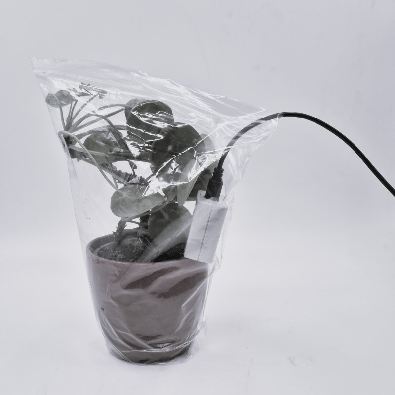 Kohlenstoffdioxidaustausch einer Pflanze