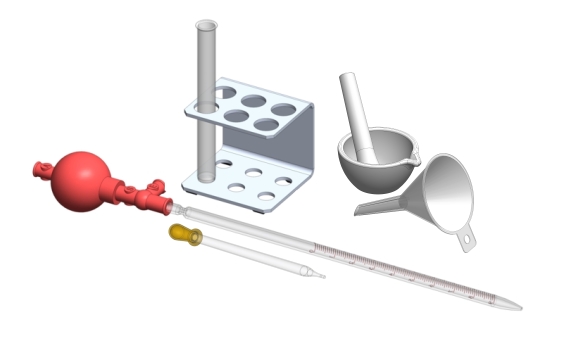 DNA-Isolierung aus Tomaten