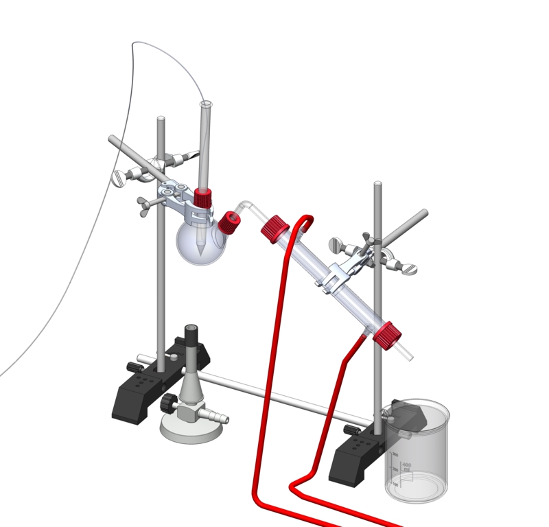 Hydrodestillation zur Gewinnung von Duftstoffen - Digital