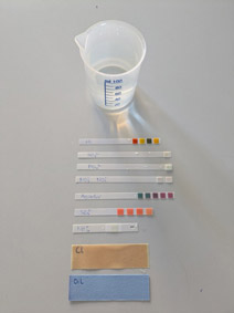 Bestimmung chemischer Wasserparameter mit Teststäbchen